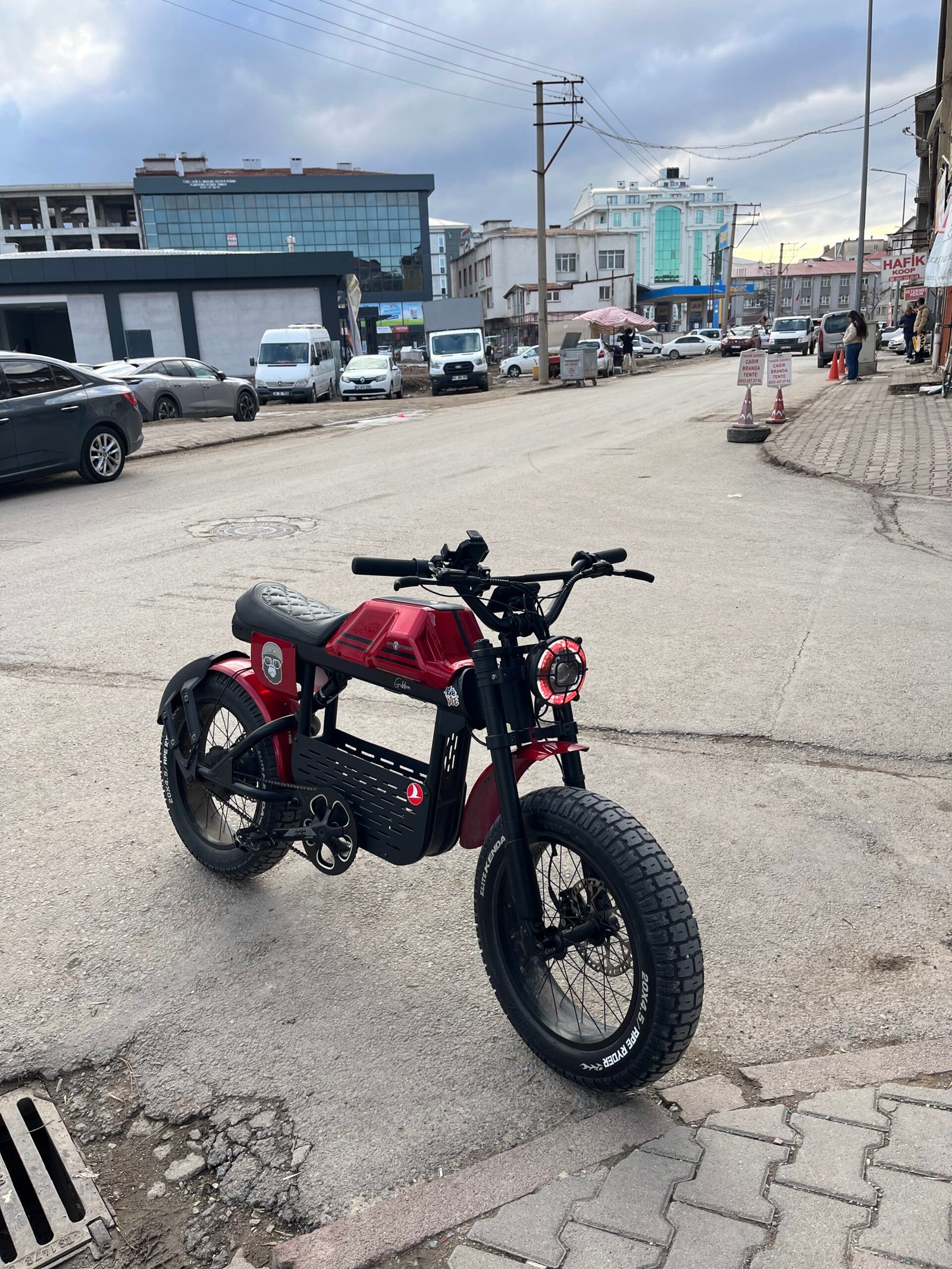 Tertemiz 3 Aylık Ape Ryder Gibbon Ekstralı