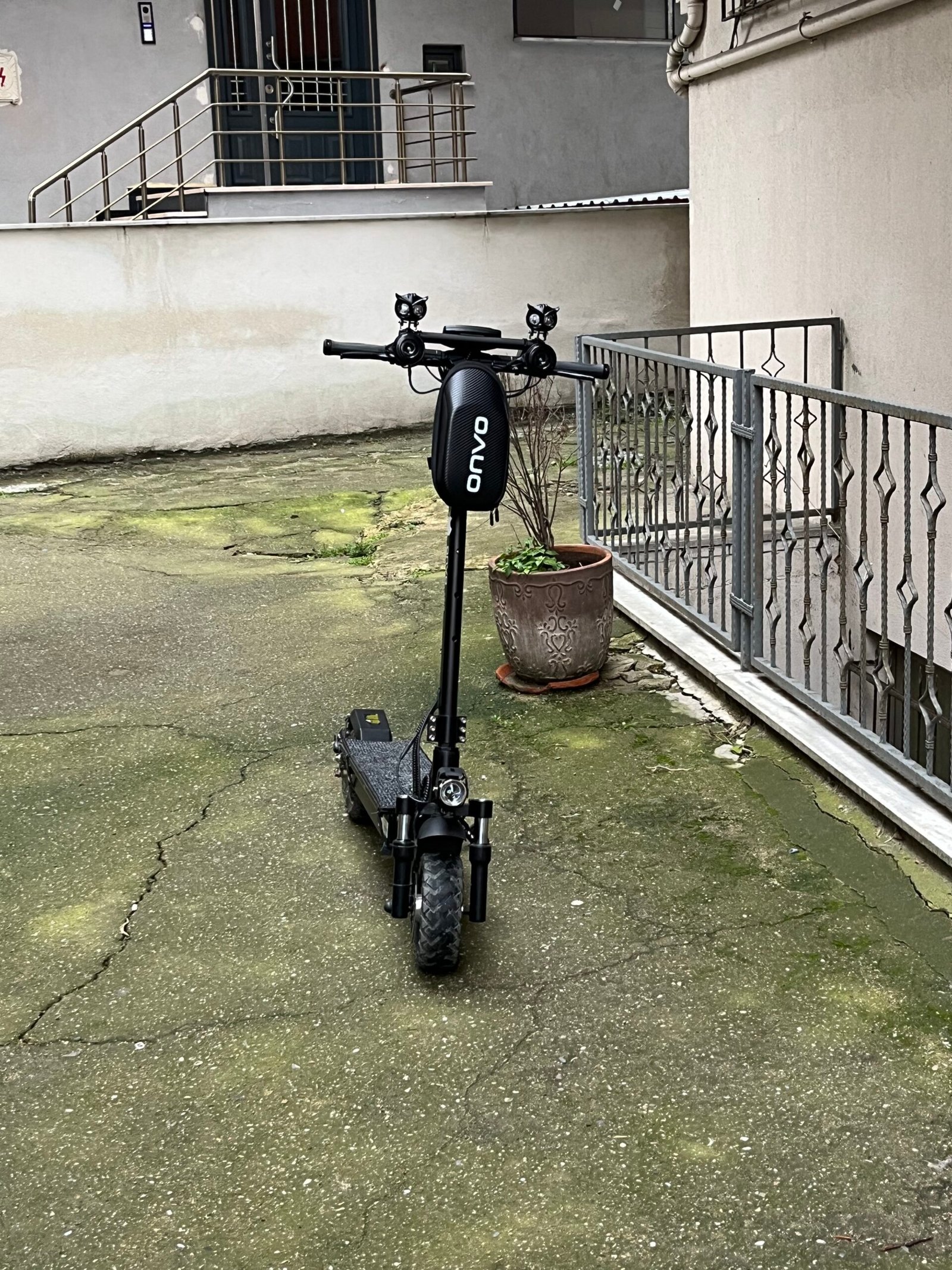 Tertemiz ekstralı 13xp 2025