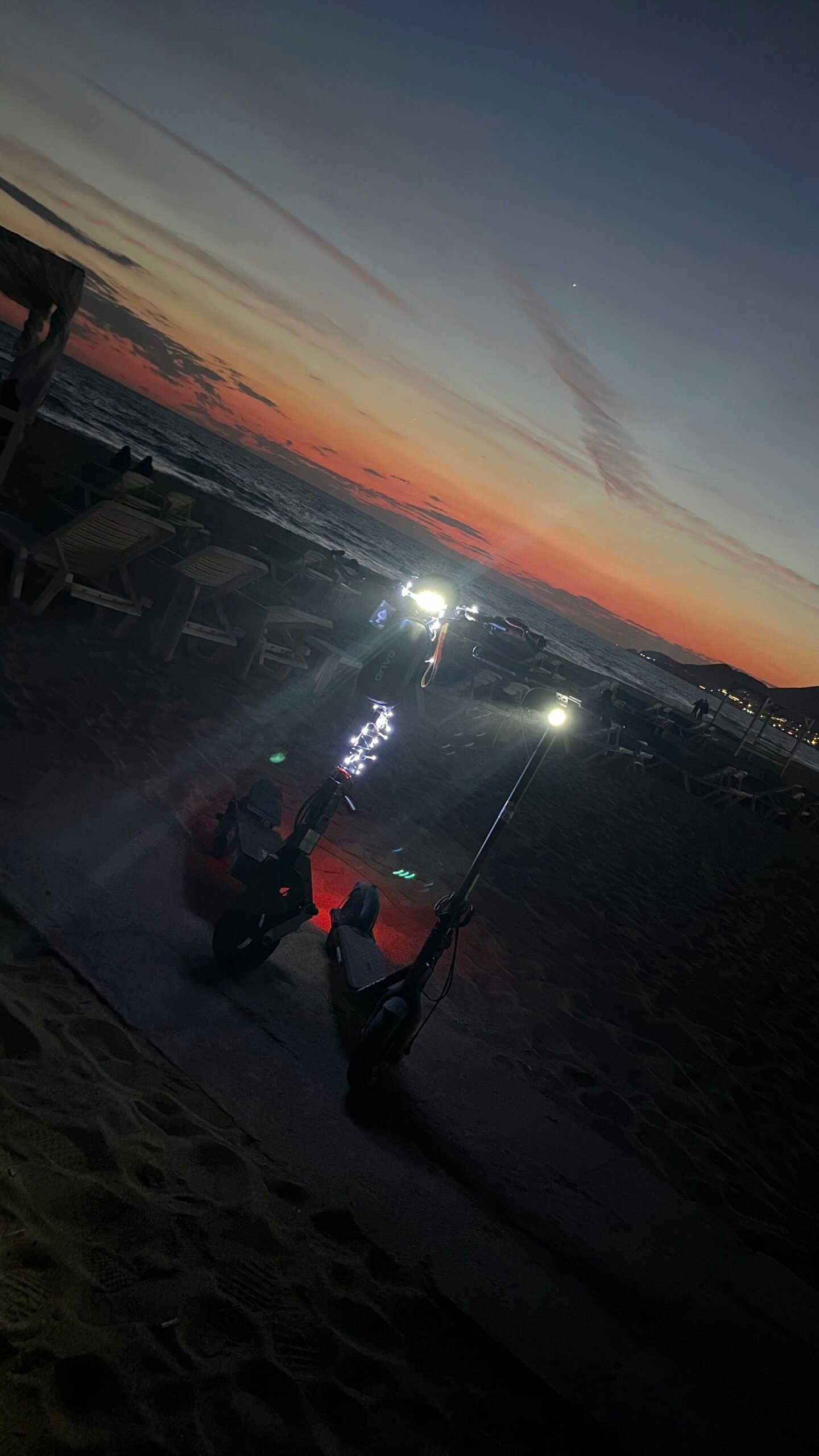 tertemiz 1.5 aylık mx1