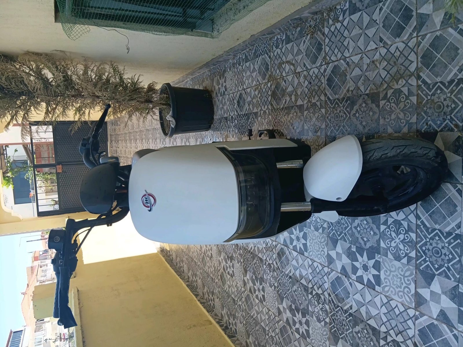 motolux gogo2