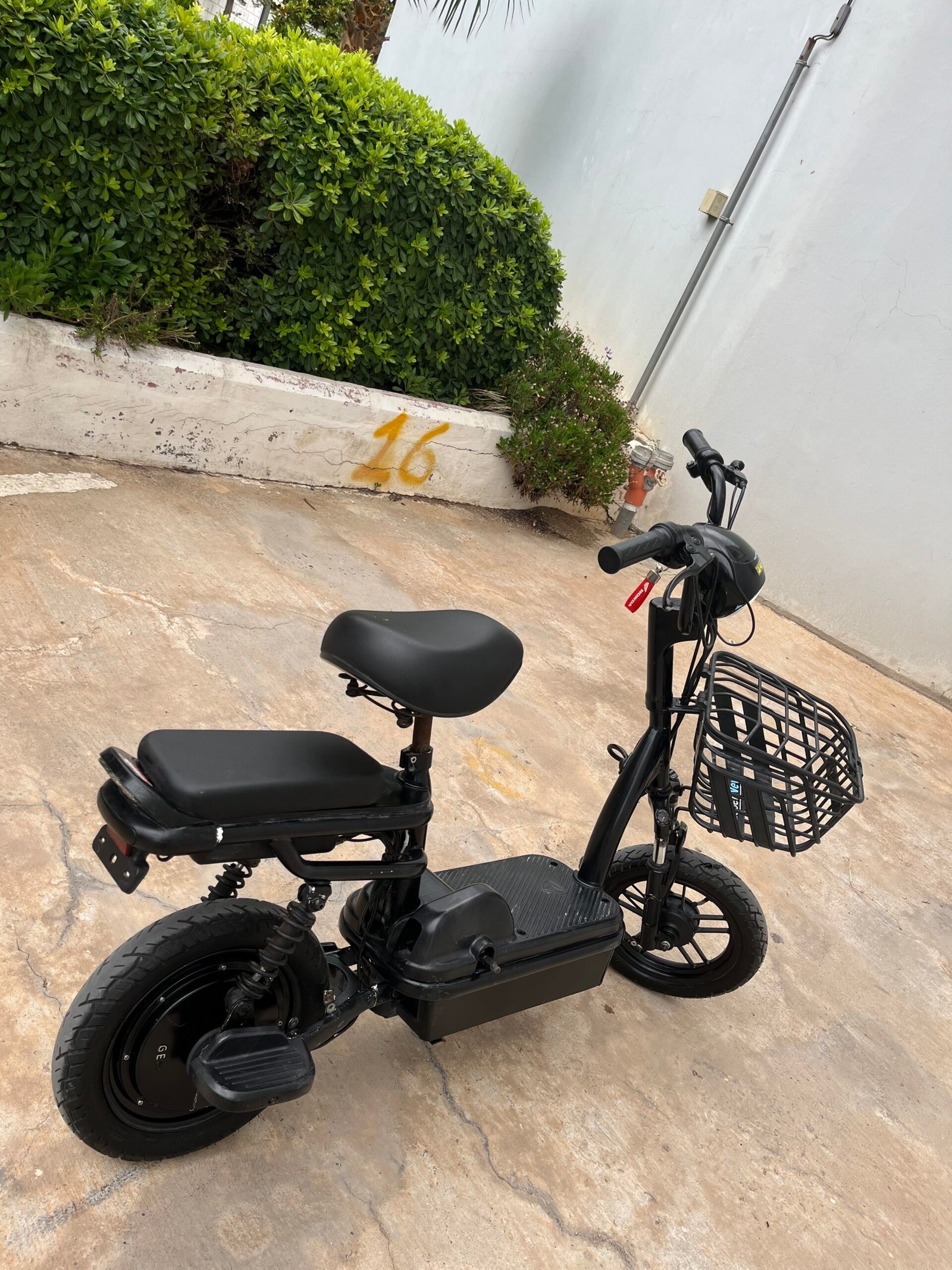 Temiz motor