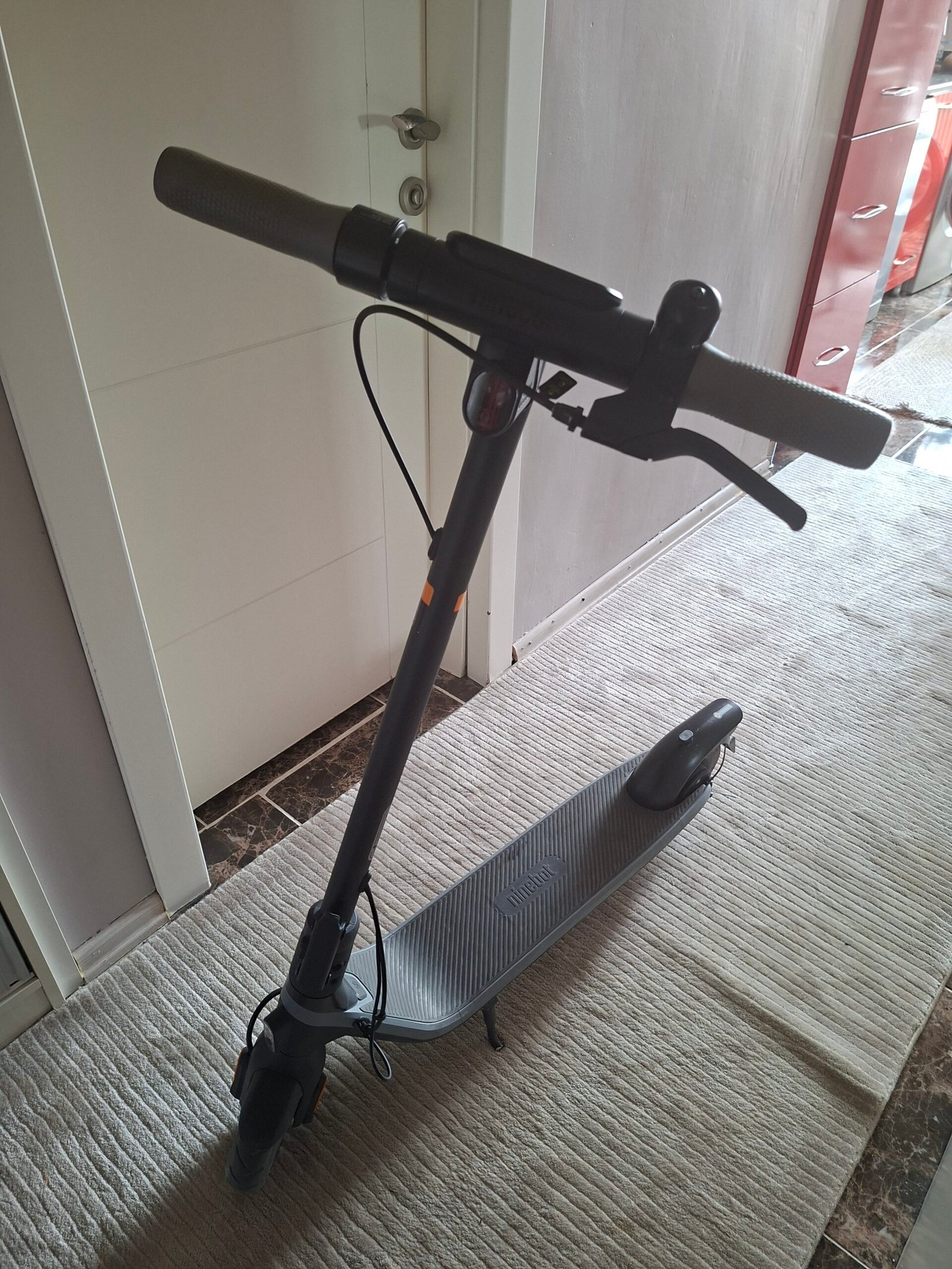 Temiz 1000km ninebot segway e2