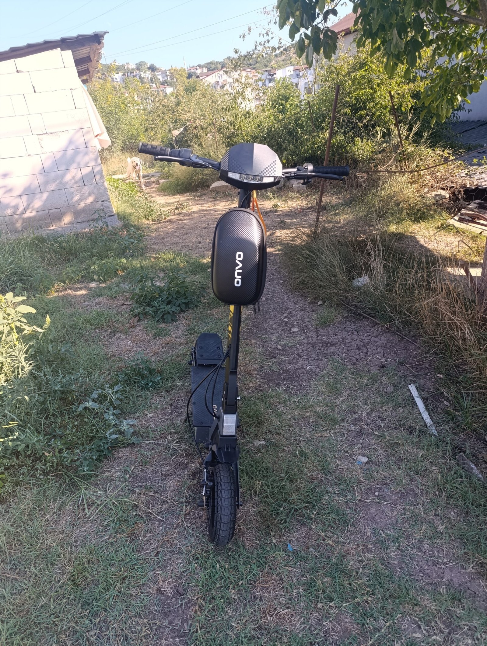 Temiz onvo mx01
