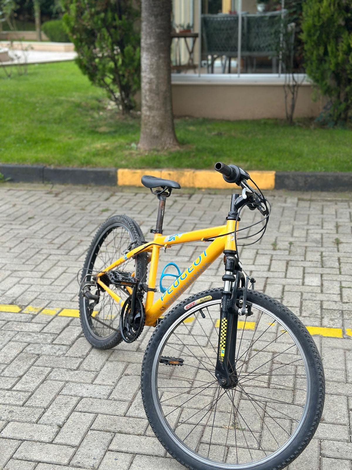 Peugeot bisiklet