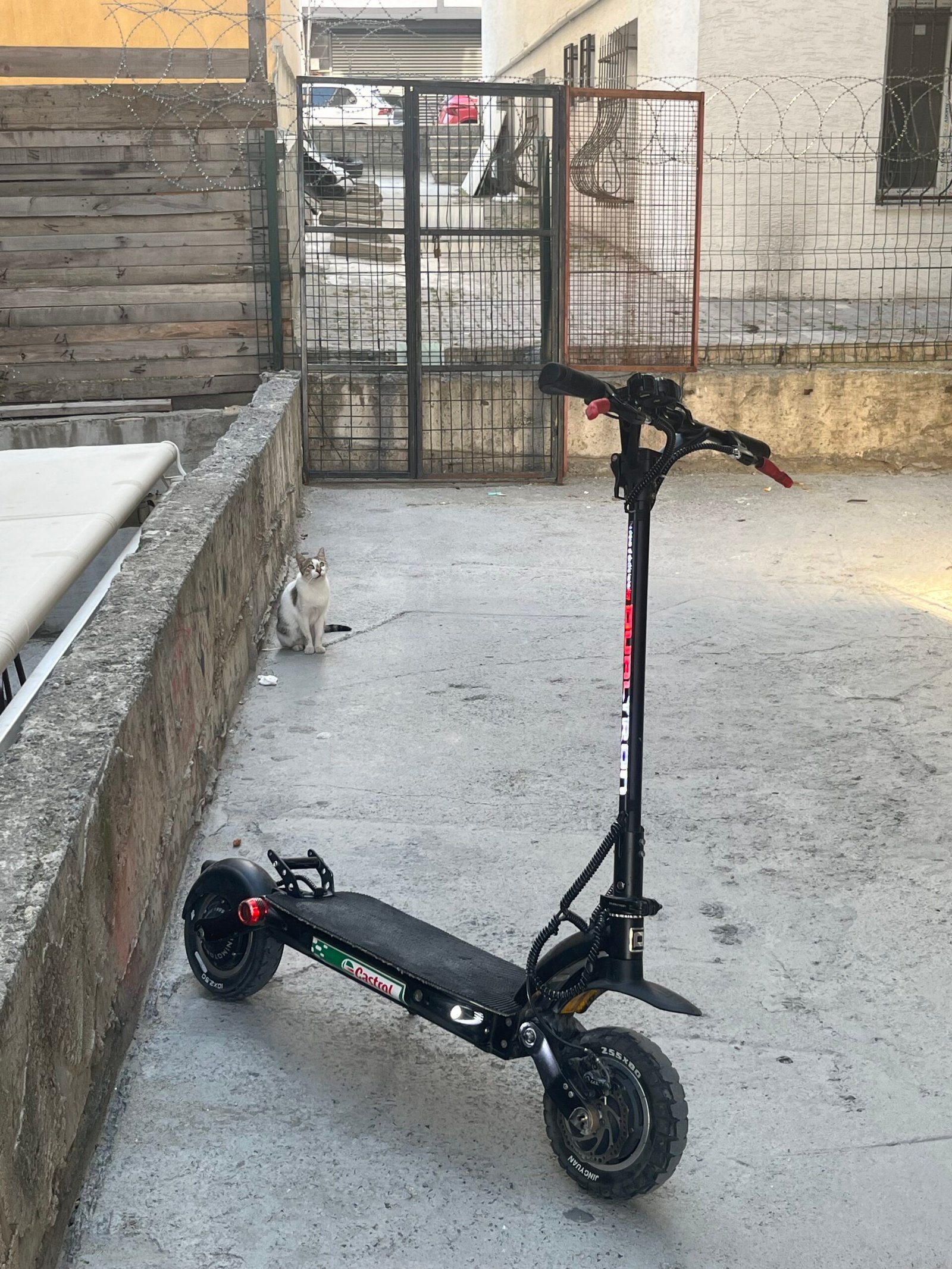 Temşz dualtron egale pro